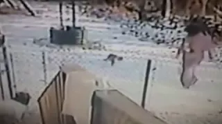 Cat attacks woman in the snow