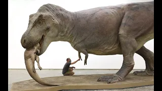 Sue a t-rex felfedezésének hihetetlen története