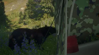 Another Way To HUNT BLACK Bears in Silver idge Peaks|Beginner COTW GUIDE !!Call Of The Wild