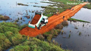 Amazing New Project Build Small Road By 5TON Truck Drive Back Unloads Of Soil & Bulldozer Push Soil