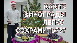 Свежий виноград ВСЮ ЗИМУ!!! Просто в подвале аж до МАРТА!!!! Какой сорт хранится дольше всех?