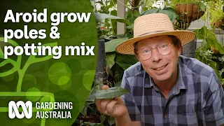How to make grow poles and custom potting mix for aroids | Indoor Plants | Gardening Australia