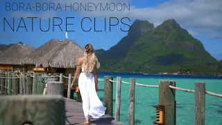 Nature Clips | Bora-Bora | Bora-Bora Honeymoon