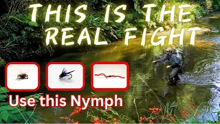 THIS IS THE REAL FIGHT WITH BIG TROUTS【2024 NZ Nymph Fly Fishing】