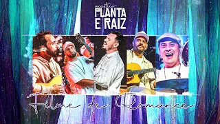 Filme de Romance - Acústico Planta & Raiz  2022 - Ao Vivo em SP