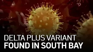 Delta Plus Variants Detected in the South Bay