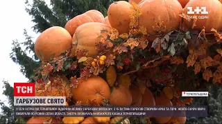 Новини України: неподалік Тернополя з`явилася фотозона із 15 тоннами гарбузів