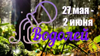 ВОДОЛЕЙ ♒️ Неделя с 27 мая по  2 июня 2024 года.