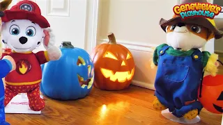 🔴Paw Patrol Baby Pup Halloween Toy Learning Video for Kids!🔴