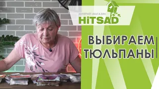 Какие Тюльпаны выбрать ✔️ Сорта тюльпанов ✔️ Советы от Hitsad TV