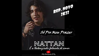 SÓ PRO MEU PRAZER / NATTAN 2K22 🔥