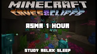 Minecraft 1.17 Caves & cliffs | ASMR 1 Hour | Deep Oceans and Warm Oceans | Study Relax Sleep ✨