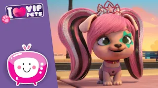 💿 DJ GWEN 🎶 VIP PETS 🌈 Nuevo Episodio 💕 Vídeos para niños en ESPAÑOL