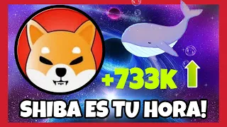 💥 SI ERES HOLDER DE SHIBA INU TIENES QUE SABER ESTO 😱 NOTICIAS IMPORTANTES!!