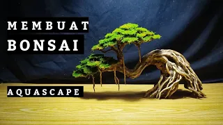 Step by step CARA MEMBUAT BONSAI AQUASCAPE untuk tank 40 cm