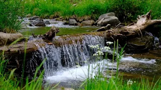 La Junta Canyon, New Mexico