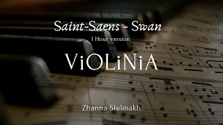 Saint Saens - Swan ( 1 hour of violin  for relaxation, stress relief, study, sleep )