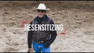 Desensitizing your Horse: Episode 1