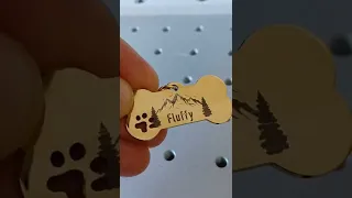 Laser Engraving a Dog ID Tag