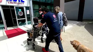Dog runs after ambulance with owner inside