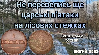 Не перевелись ще царські п'ятаки на лісових стежках