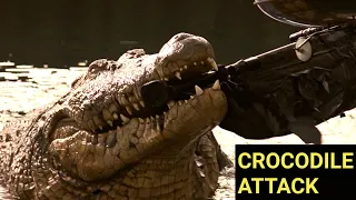 Lake Placid | Hector's Close Call | Crocodile Chomping Helicopter Scene