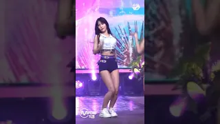 TWICE MOMO Fancam "Alcohol free"