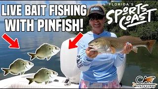 Live Bait Fishing With Pinfish! | Flats Class YouTube