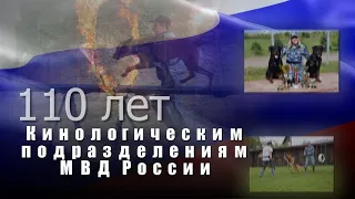 Кинологическая служба МВД России отмечает свое 110-летие