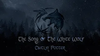 The Witcher - The Song of the White Wolf