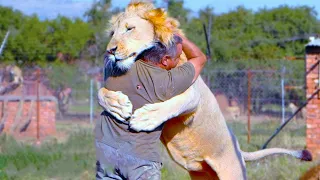 20 Incredible Relationships Between Animals and Humans