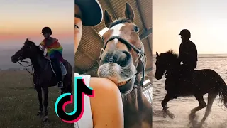 The Best HORSE TikTok Compilation 2022 #1