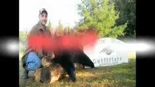 2011 Maine Black Bear Hunt