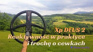 XP DEUS 2 Reaktywność i trochę o cewkach  cz. 5