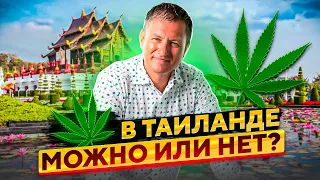 Туристам в Таиланде это важно знать! // Легализация марихуаны - что можно а что нельзя в Таиланде