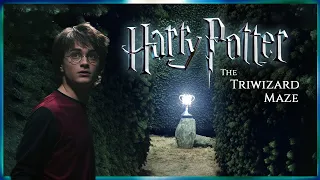 Triwizard Maze [ASMR] Harry potter Goblet of fire inspired Ambience 🌲Wind blowing ✨ Relax Study Read