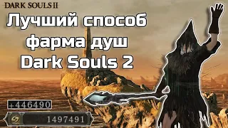 Лучший фарм  душ в DarkSouls2/От 450к за 2 минуты.