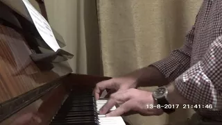 "Hedwig's Theme" from "Harry Potter" - prof. Adrian Bordeianu