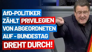 Stephan Brandner zählt Privilegien von Abgeordneten auf - Bundestag dreht durch! - AfD-Fraktion