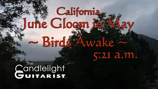 California 'June Gloom' in May (Birds & train horn) - with classical guitar