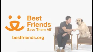 Mark Wahlberg, Lionsgate and "Arthur the King" - Pet Adoption PSA | Best Friends Animal Society