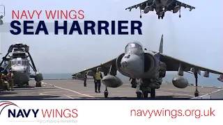 Navy Wings - Sea Harrier
