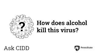 How does alcohol kill this virus? | Ask CIDD