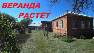 72. КУПИЛИ УСАДЬБУ, ВОССТАНАВЛИВАЕМ! Веранда растёт, виноград нет.