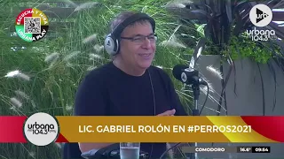 Gabriel Rolón: 'El presente es abrumador' | #Perros2021