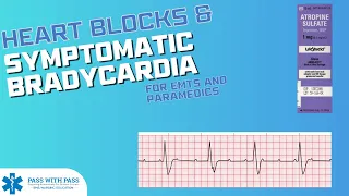 Heart Blocks & the Bradycardic ACLS Algorithm - Symptomatic Bradycardia