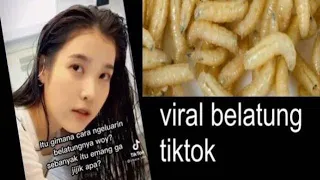 Adegan dewasa belatung viral??? hebohkan,TIKTOK, Twitter!! warga net sangat jijik