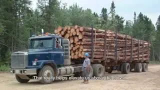 The Forestry Industry in Atlantic Canada