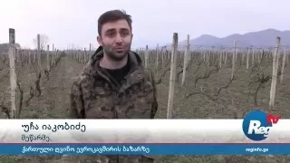 ქართული ღვინო ევროკავშირის ბაზარზე