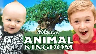 Florida Dream Vacation, Episode 6 - Animal Kingdom - My Favorite Disney Park!